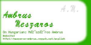 ambrus meszaros business card